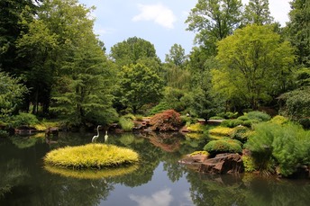 Pond garden